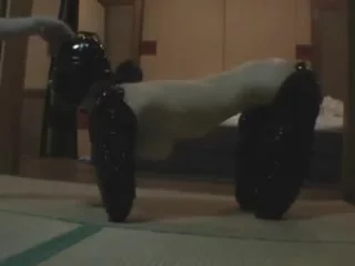 BoundHub - petgirl