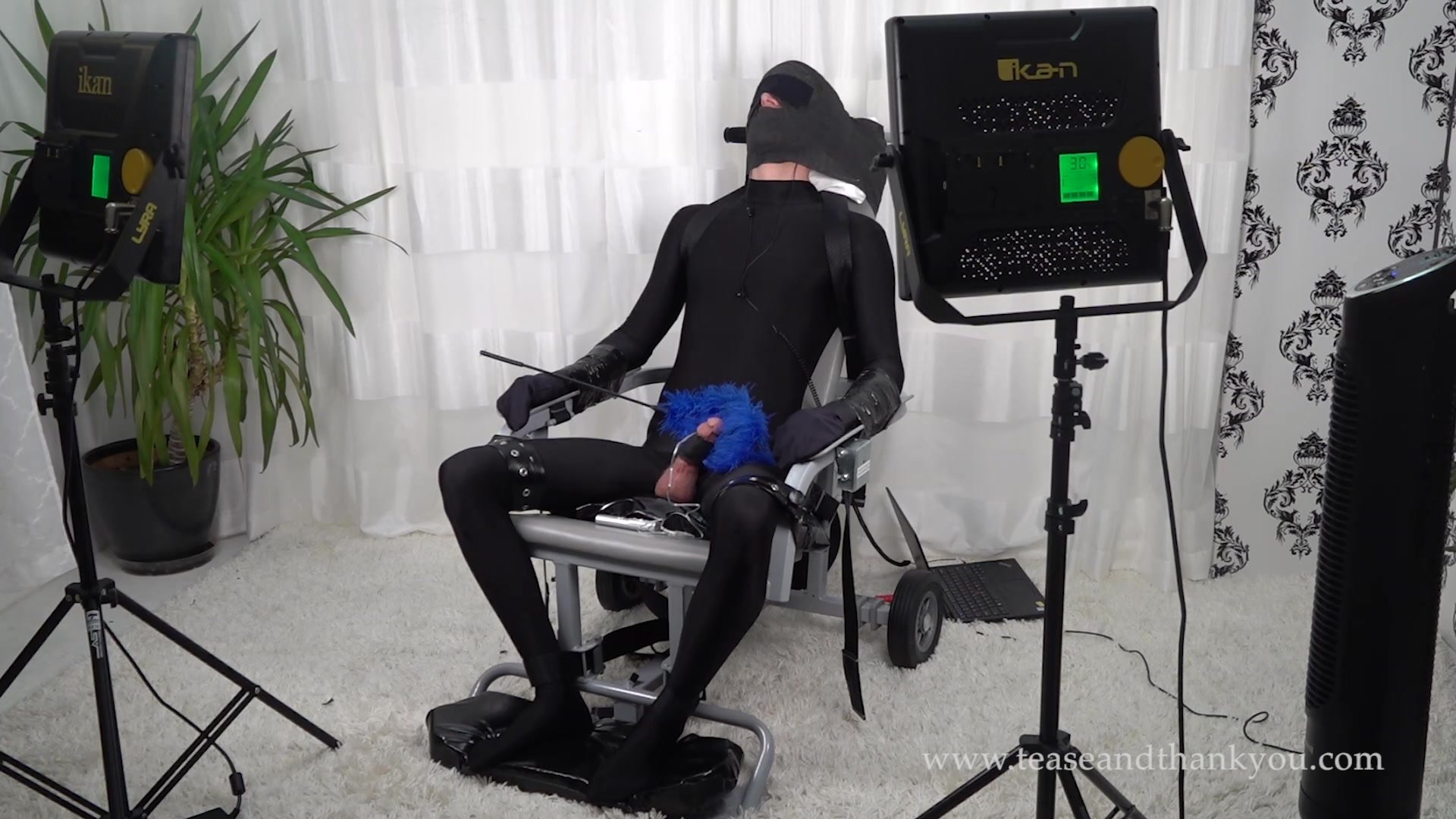 Femdom bondage chair