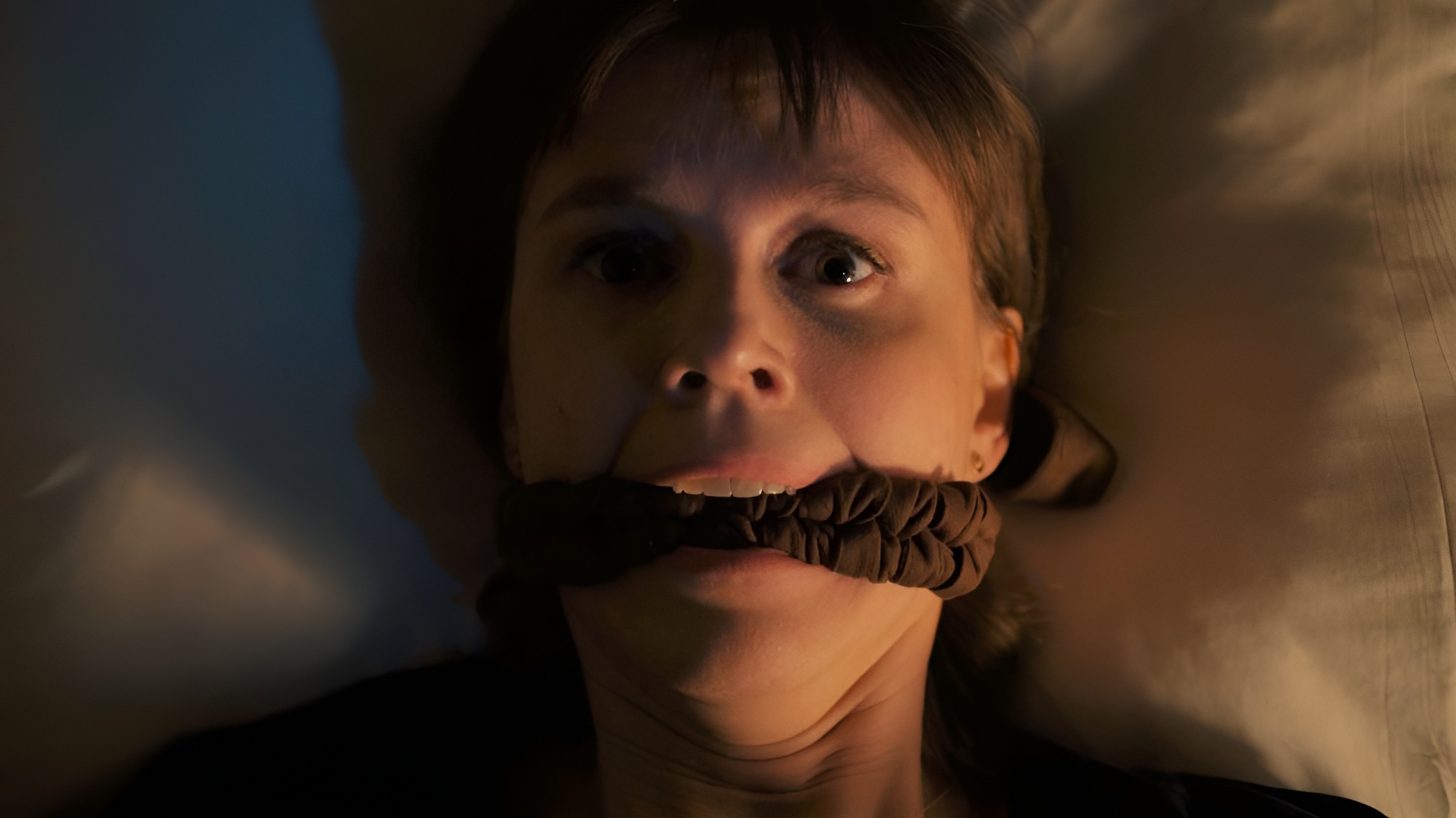 BoundHub - Katja Herbers - TV Bondage