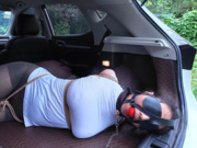 Outdoor bondage 1